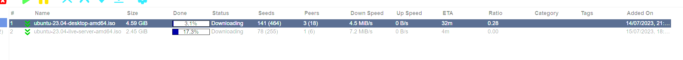 Qbit_Download issue